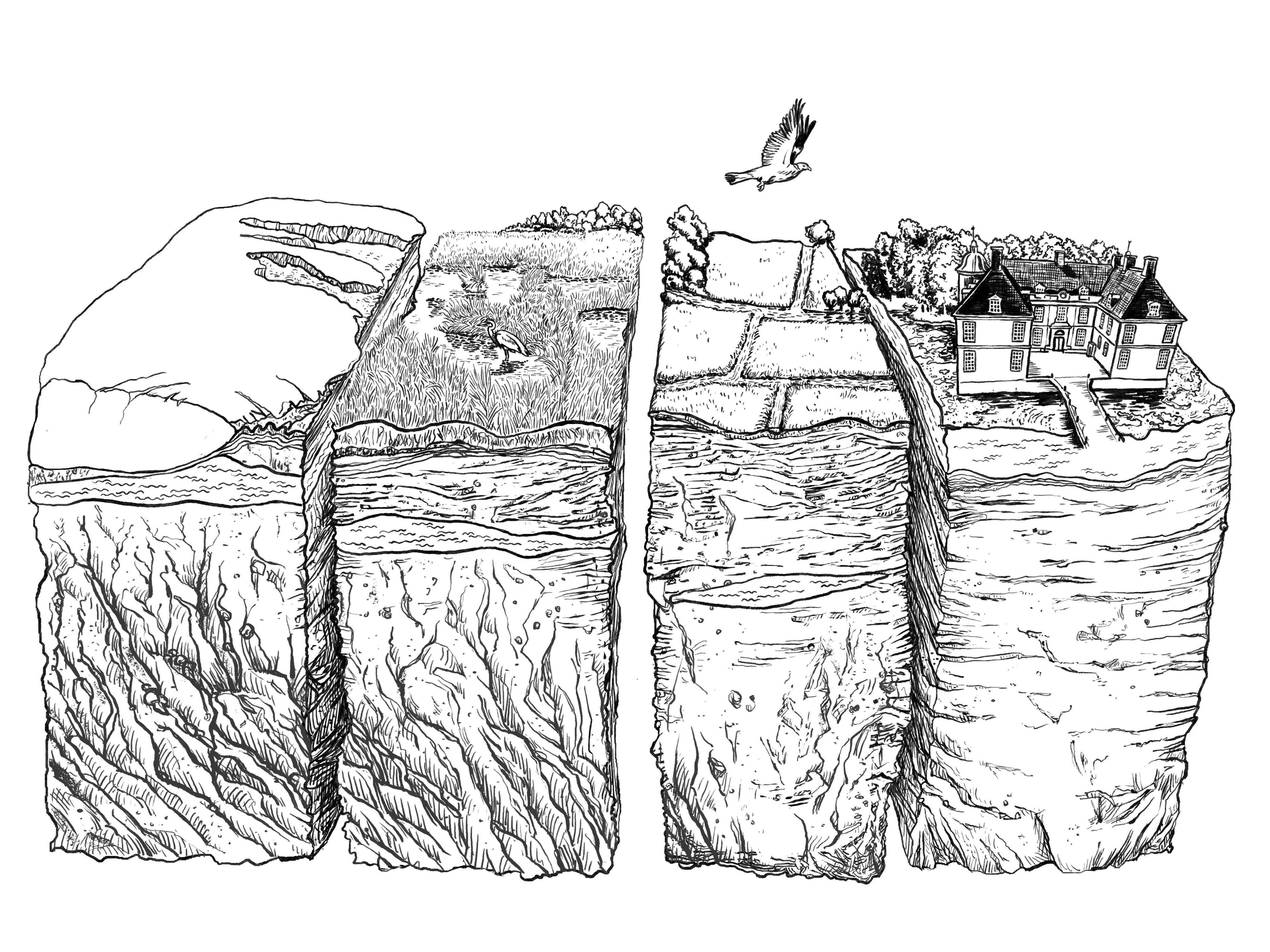 Illustration